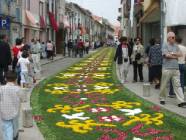 Click para ver a foto maior